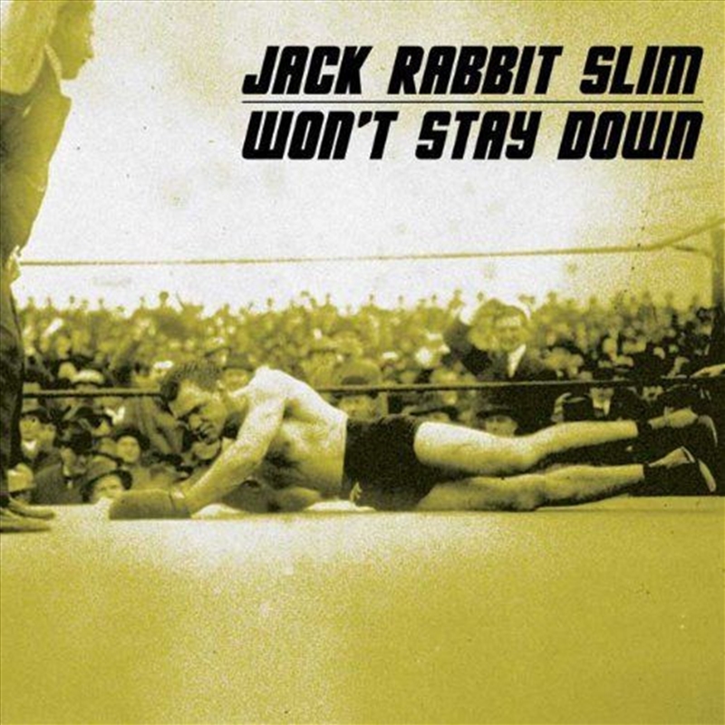 Wont Stay Down/Product Detail/Rock