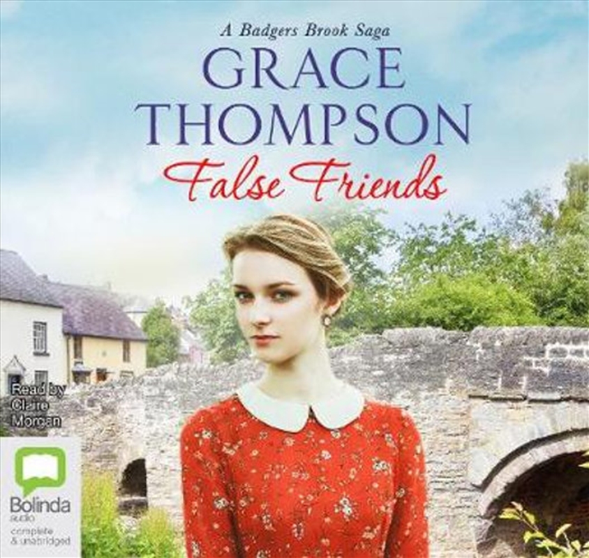False Friends/Product Detail/General Fiction Books