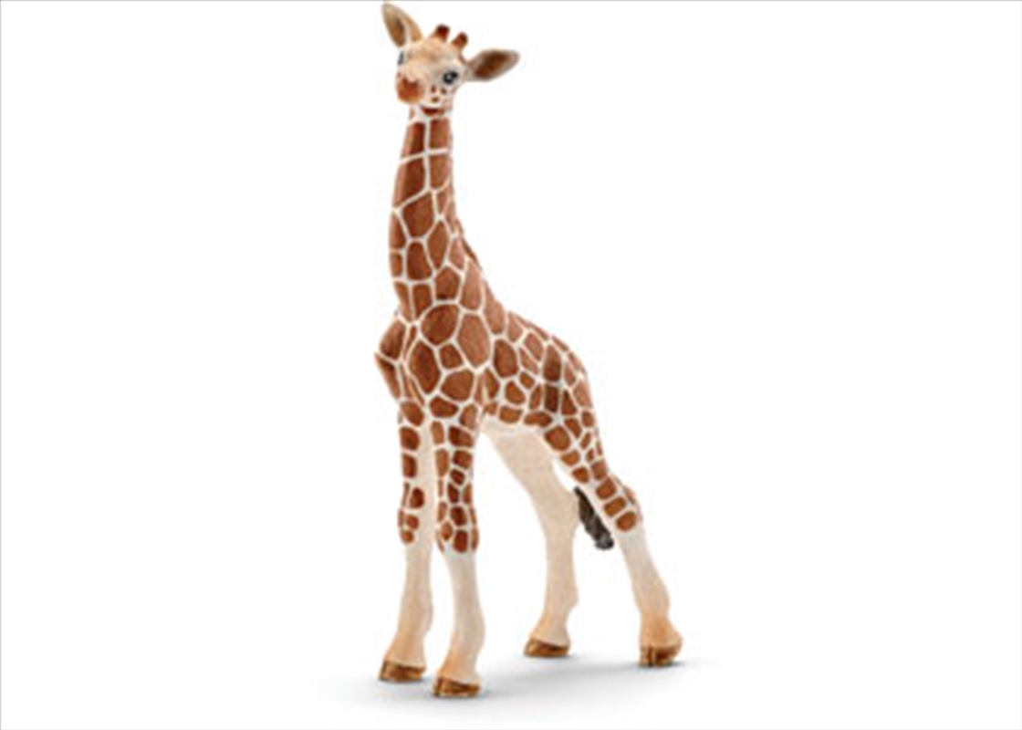 Schleich - Giraffe Calf/Product Detail/Play Sets