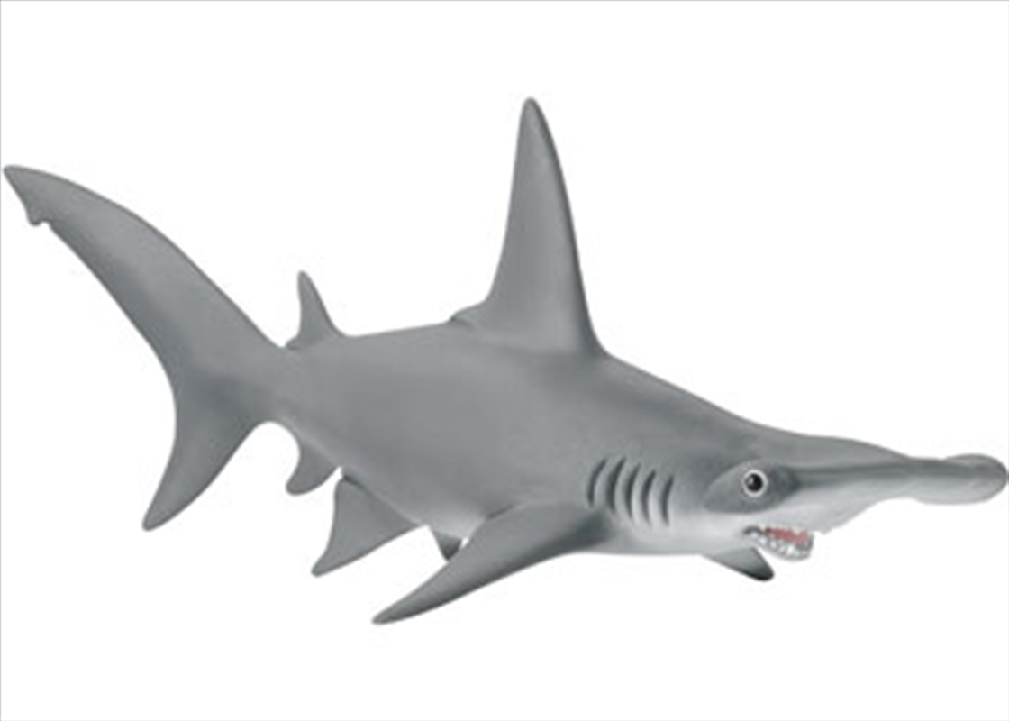 Schleich - Hammerhead Shark/Product Detail/Play Sets