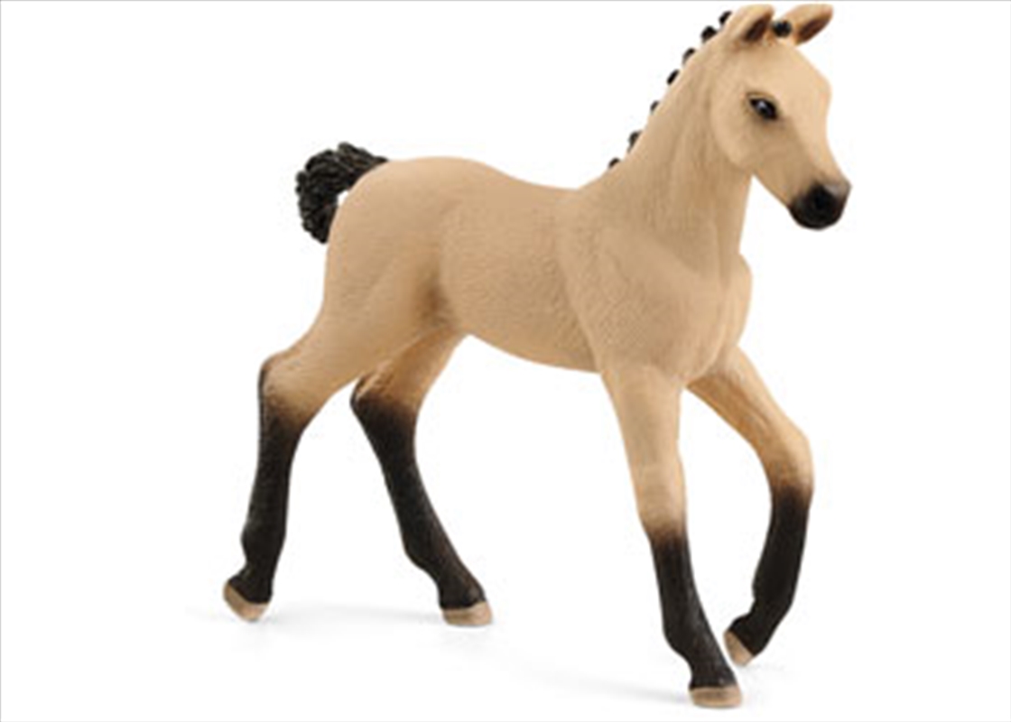 Schleich - Hannoverian Foal, Red Dun/Product Detail/Play Sets