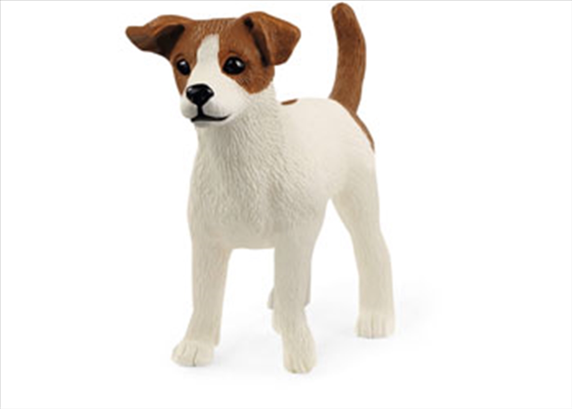 Schleich - Jack Russell Terrier/Product Detail/Play Sets