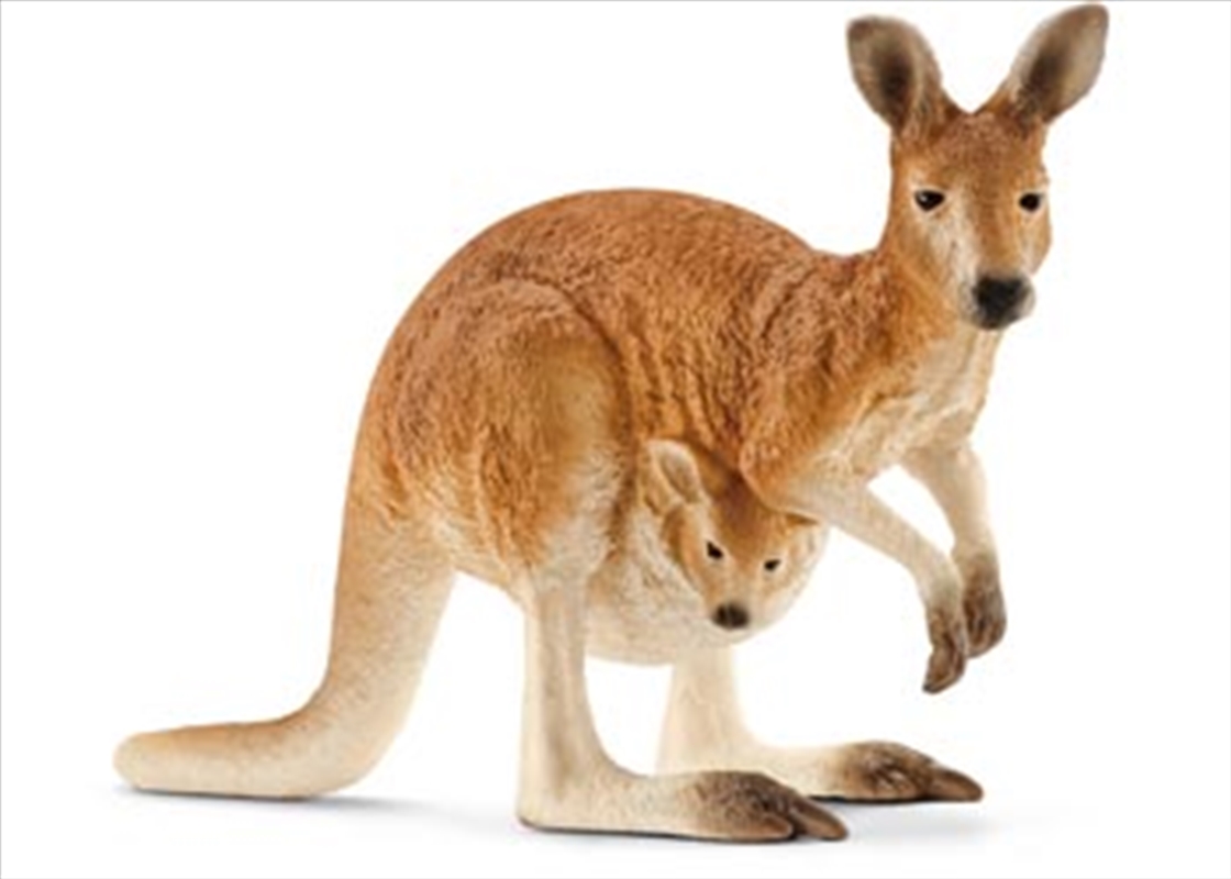 Schleich - Kangaroo/Product Detail/Play Sets
