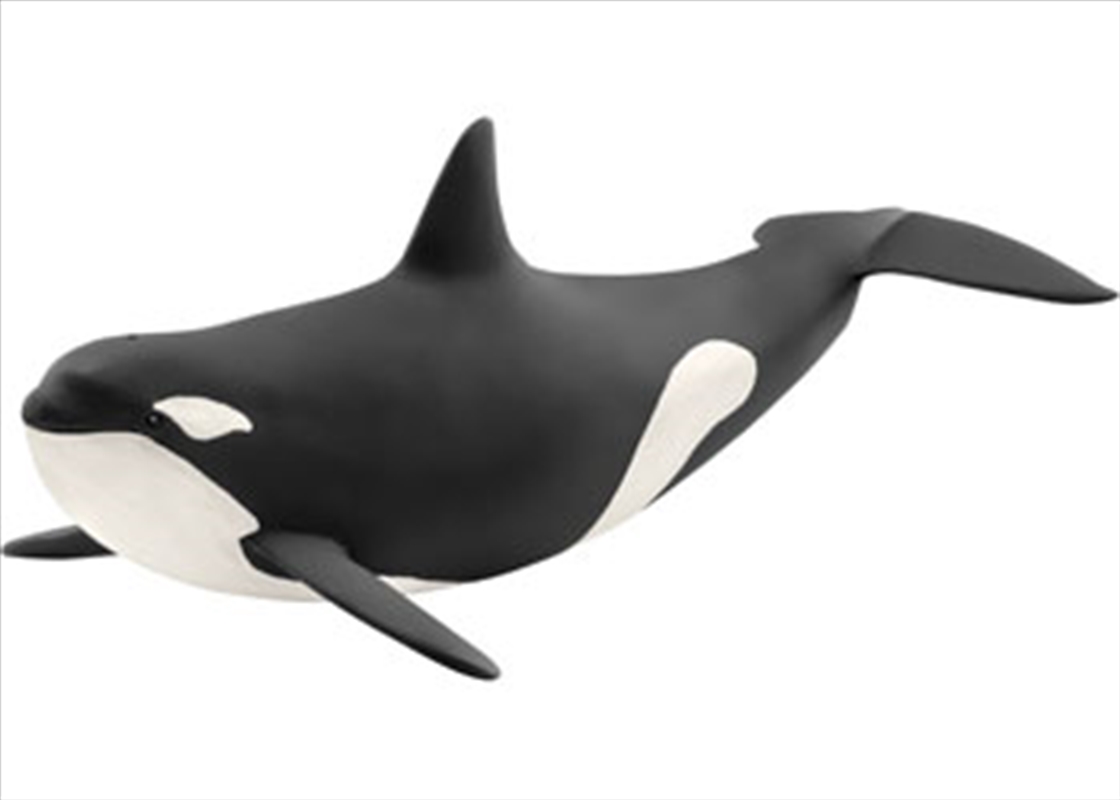 Schleich - Killer Whale/Product Detail/Play Sets