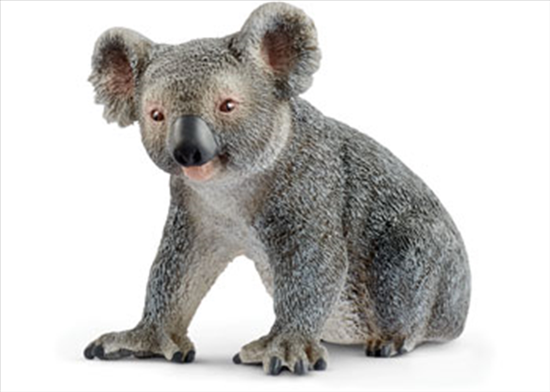 Schleich - Koala Bear/Product Detail/Play Sets