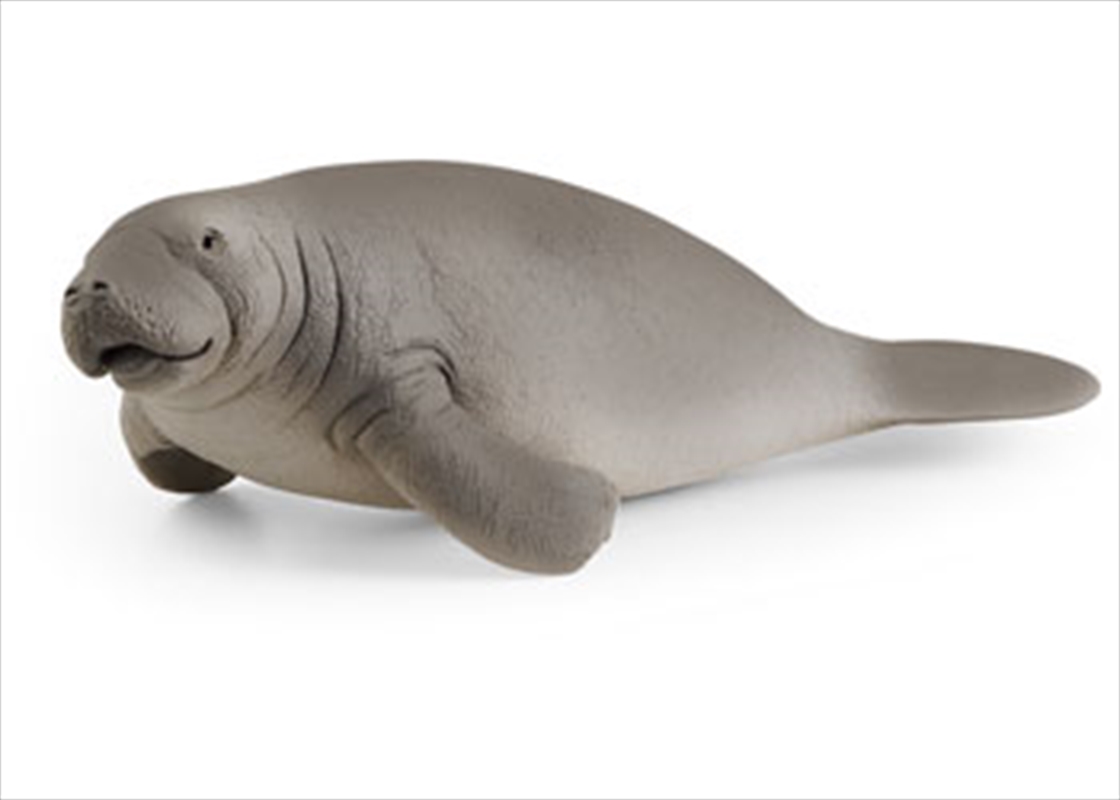 Schleich - Manatee/Product Detail/Play Sets