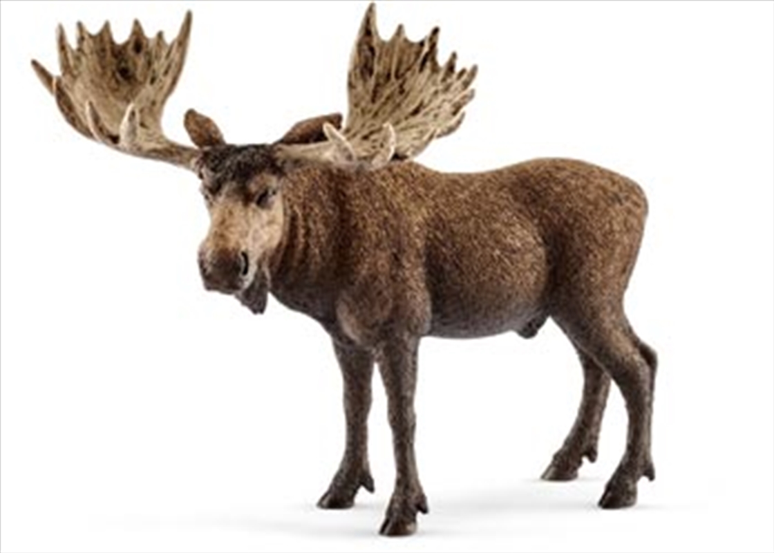 Schleich - Moose Bull/Product Detail/Play Sets