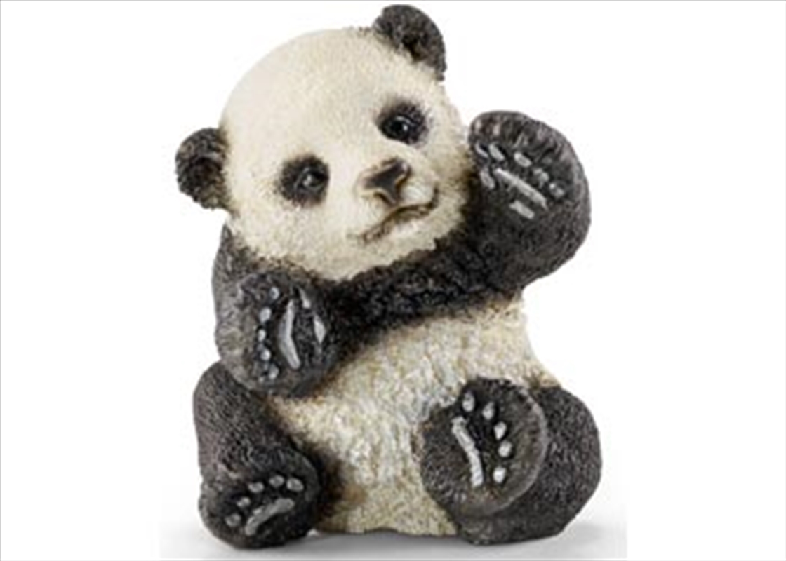 Schleich - Panda Cub Playing/Product Detail/Play Sets