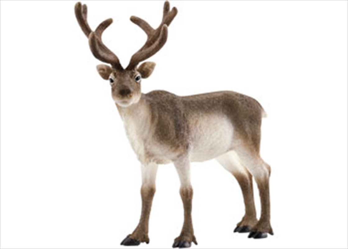 Schleich - Reindeer/Product Detail/Play Sets