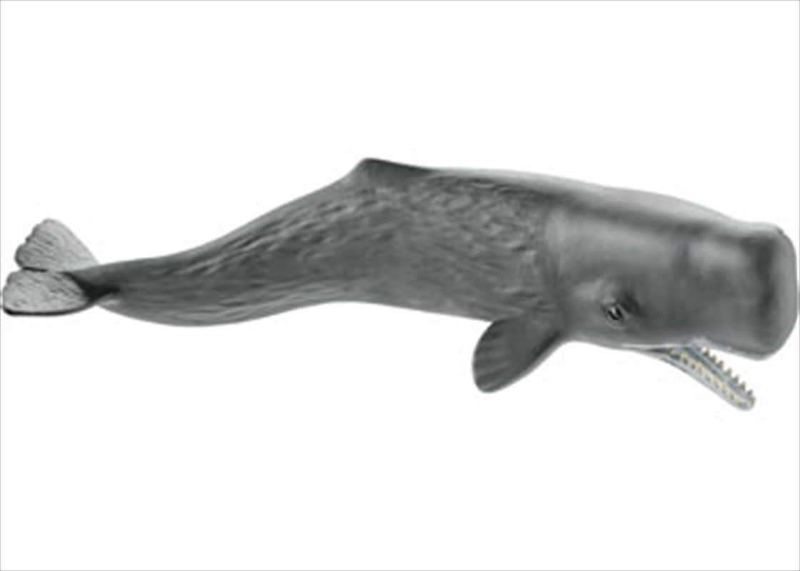 Schleich - Sperm Whale/Product Detail/Play Sets