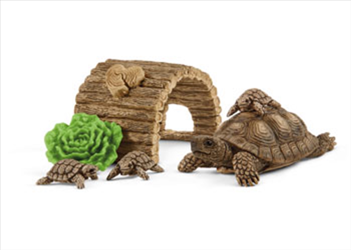 Schleich - Tortoise home/Product Detail/Play Sets