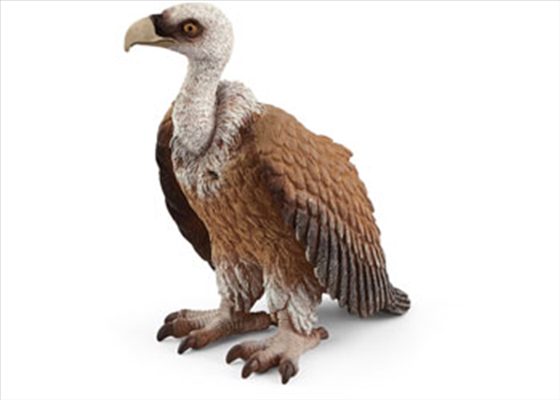 Schleich - Vulture/Product Detail/Play Sets