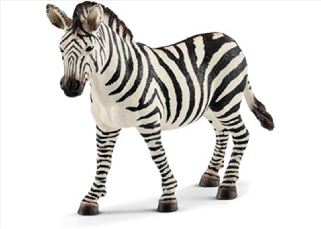 Schleich - Zebra Female/Product Detail/Play Sets