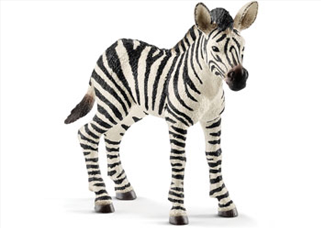 Schleich - Zebra Foal/Product Detail/Play Sets