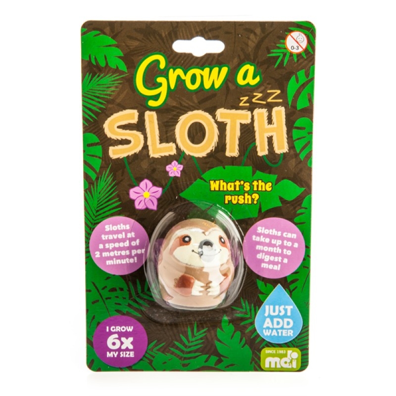 Grow A Sloth/Product Detail/Grow Your Own