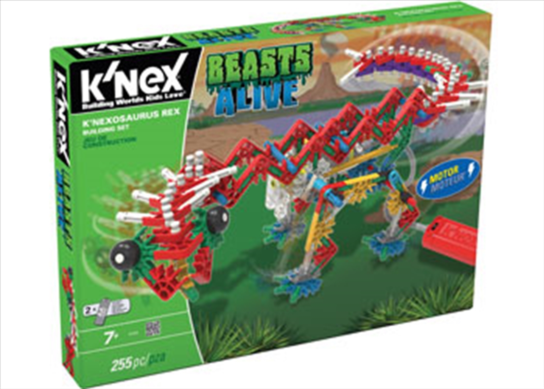 K'nex KNEXosaurus 255 pieces 2 builds/Product Detail/Educational