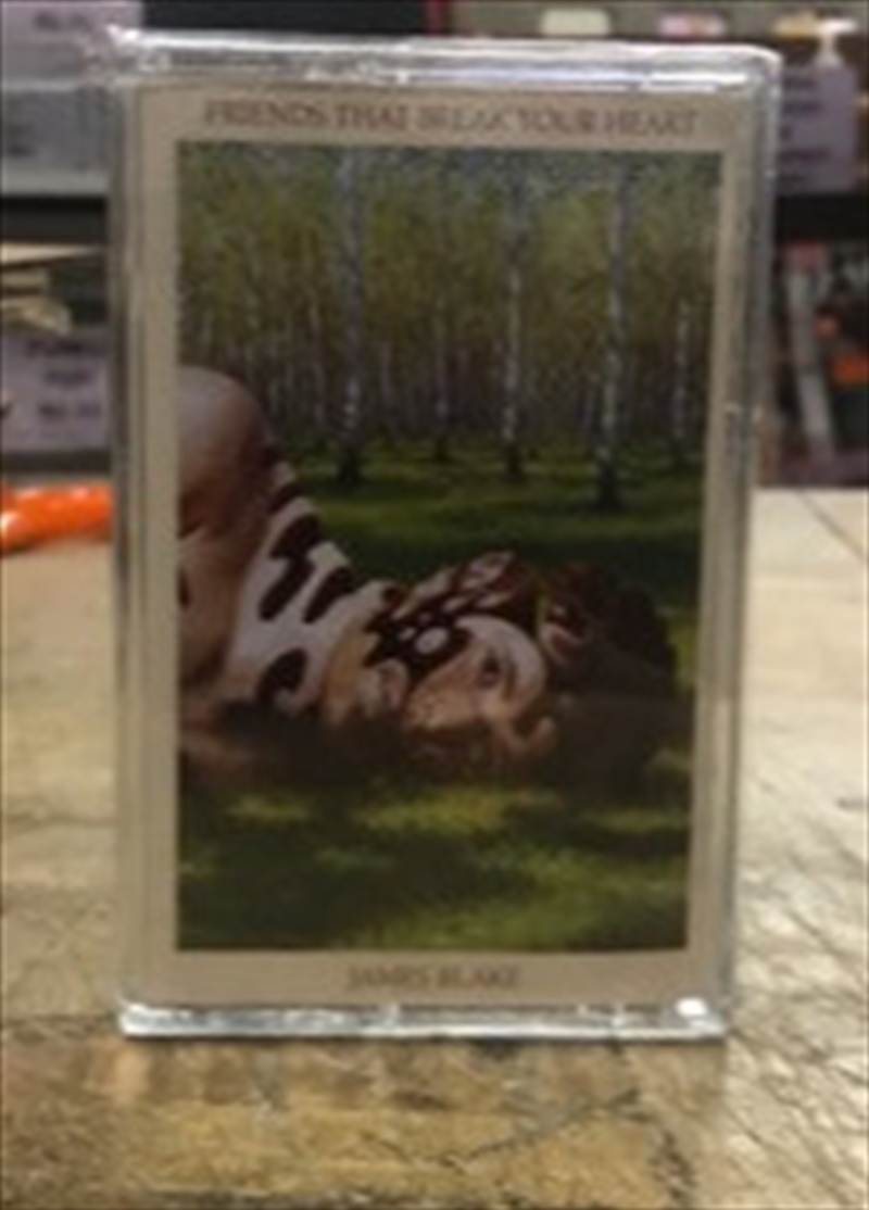 Friends That Break Your Heart/Product Detail/Alternative