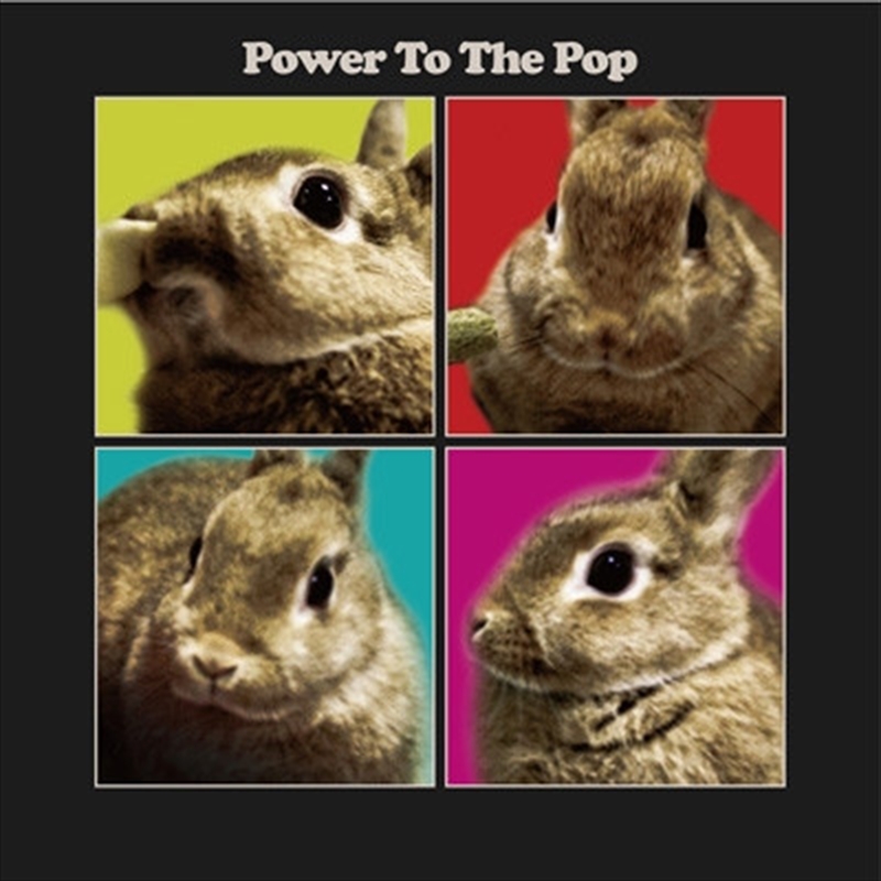 Power To The Pop/Product Detail/Rock