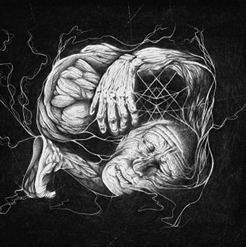Vorant Gnosis/Product Detail/Rock