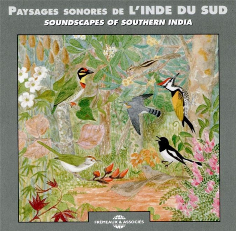 Soundscapes Of Southern India/Product Detail/Specialist