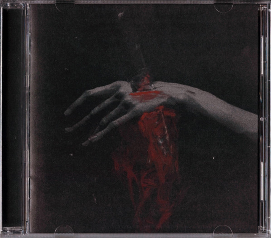 Nothing Left To Love/Product Detail/Punk