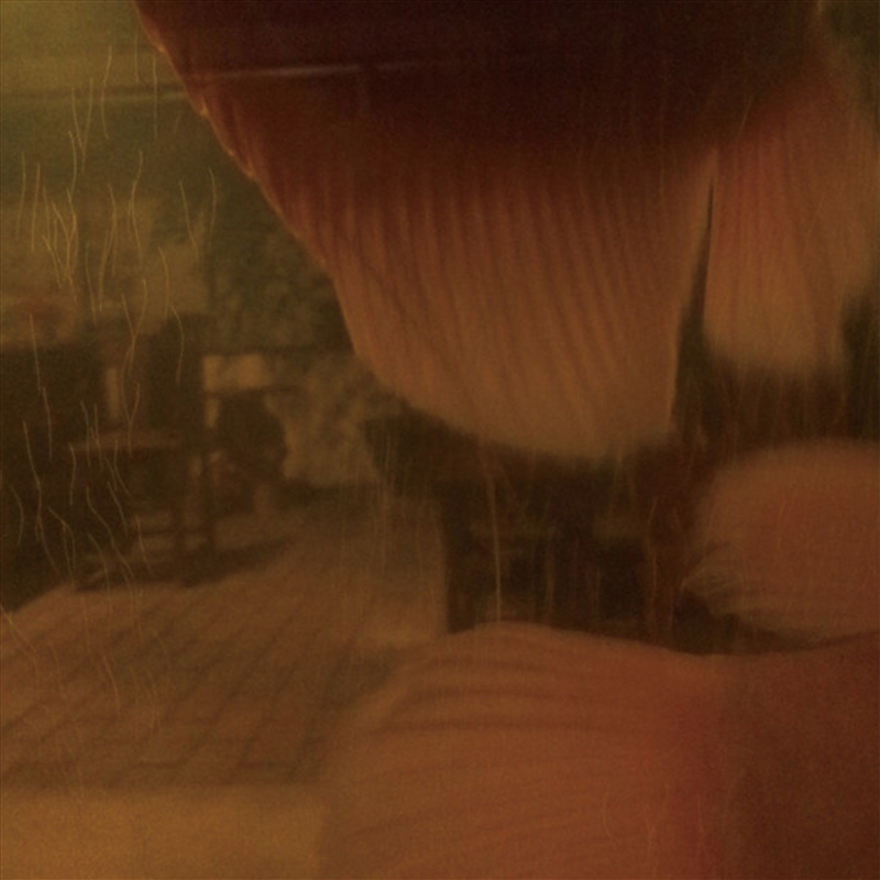 A Step In The Dark/Product Detail/Dance