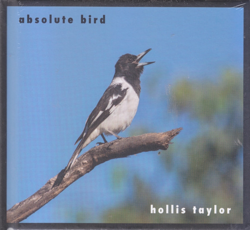 Absolute Bird/Product Detail/Specialist