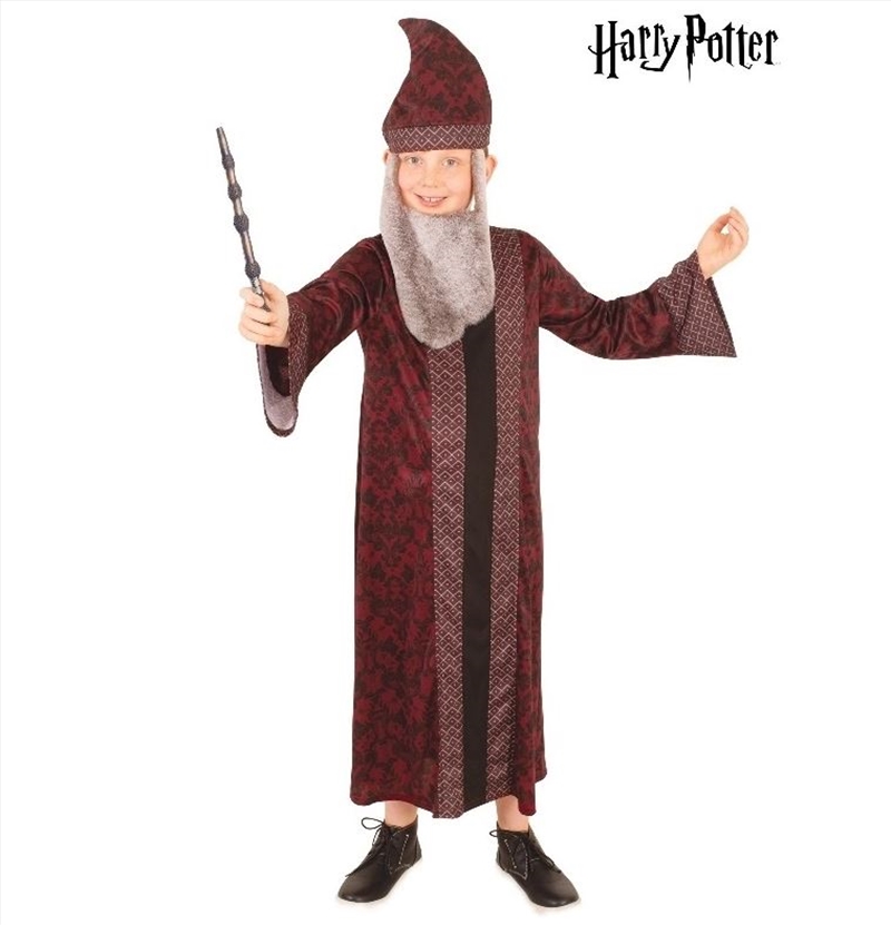 Harry Potter Professor Dumbledore Robe Child Costume - Size 9/Product Detail/Costumes