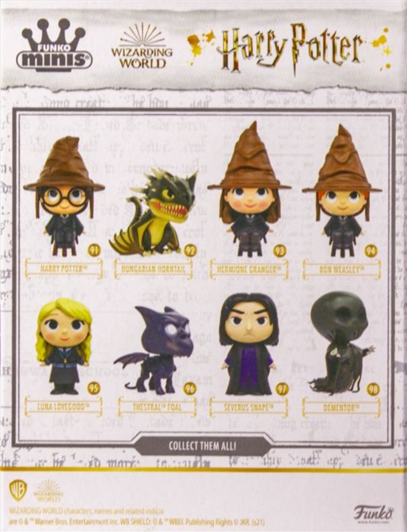 Harry Potter - US Exclusive Mini Vinyls [RS] (SENT AT RANDOM)/Product Detail/Movies