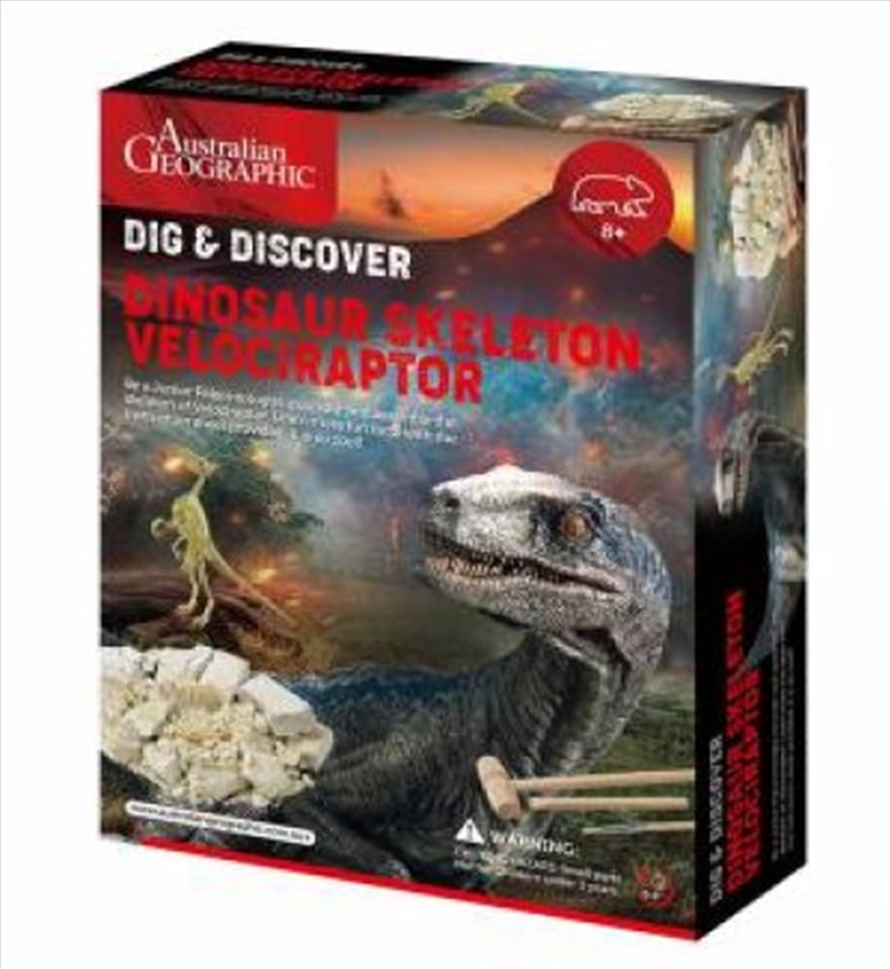 Australian Geographic Dinosaur Fossil Kits: Velociraptor/Product Detail/Educational