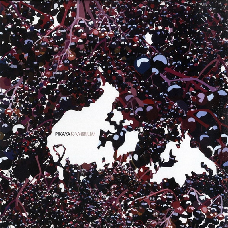 Kambrium/Product Detail/Dance