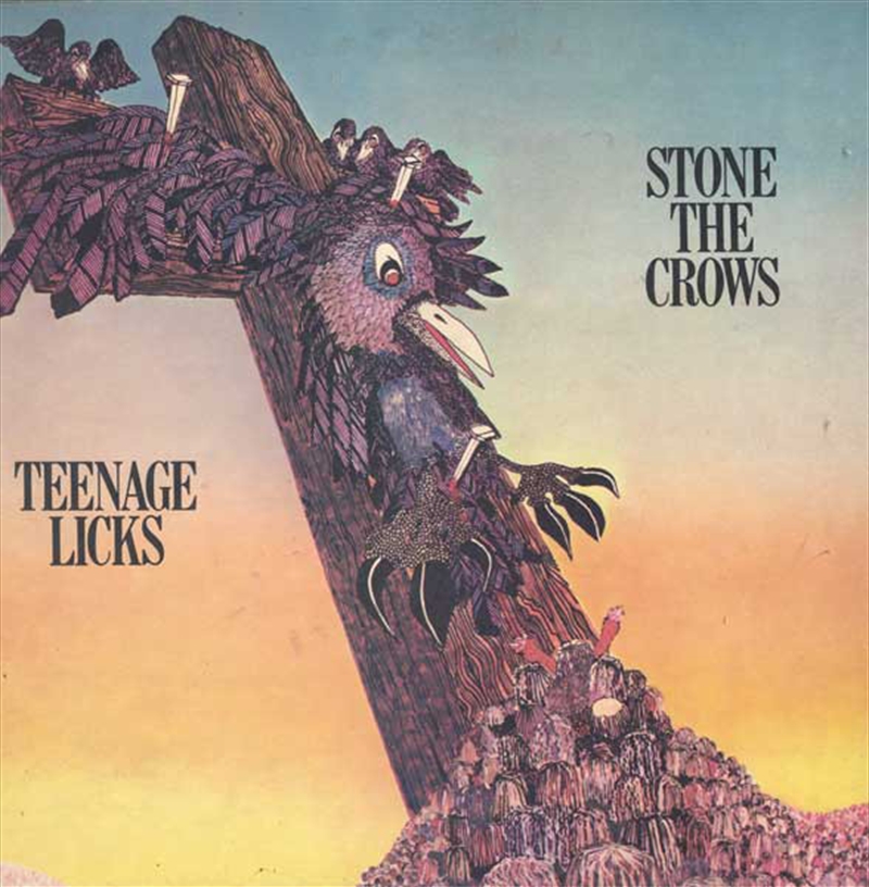 Teenage Licks/Product Detail/Rock