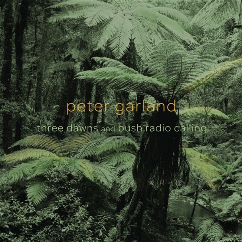 Three Dawns And Bush Radio/Product Detail/Pop