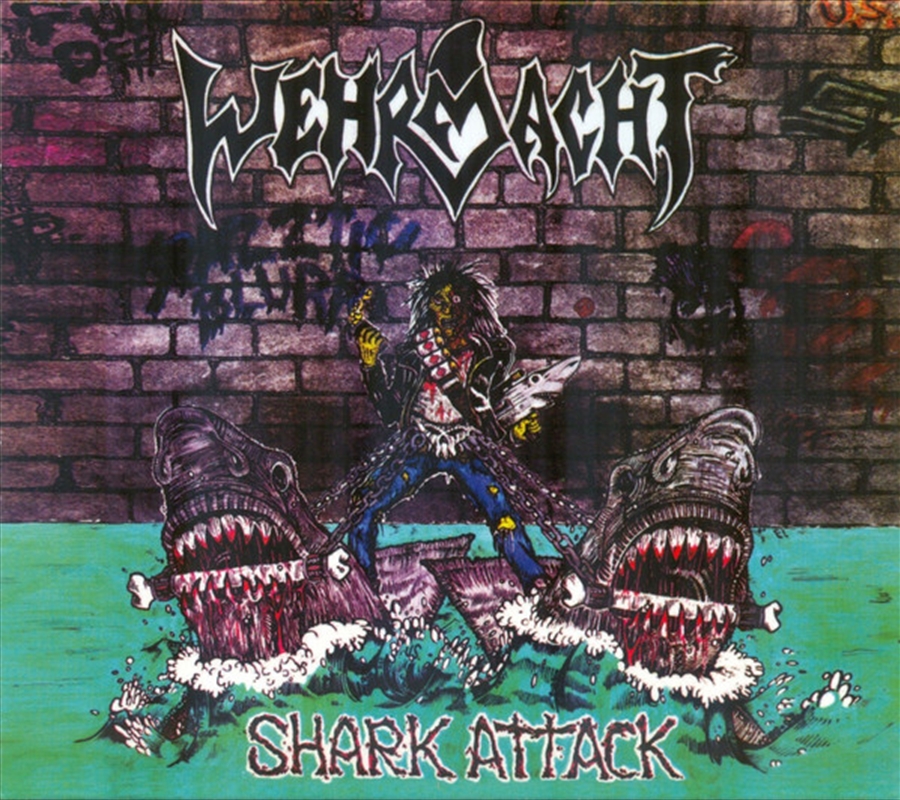 Shark Attack/Product Detail/Rock