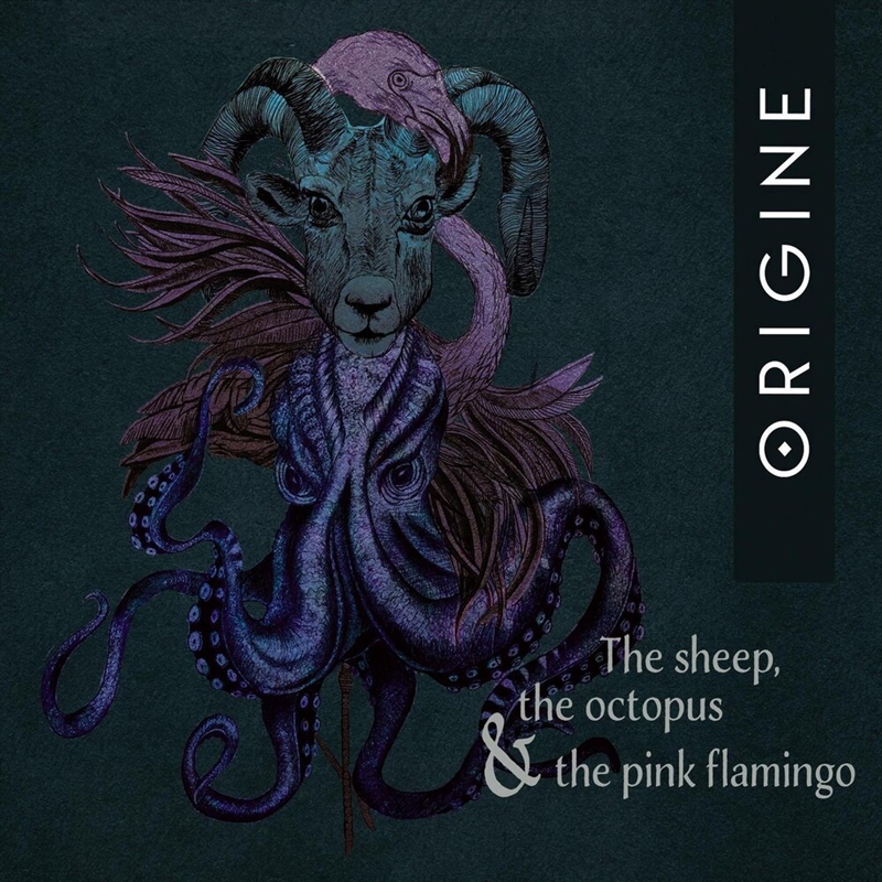 Sheep The Octopus And The Pink | CD