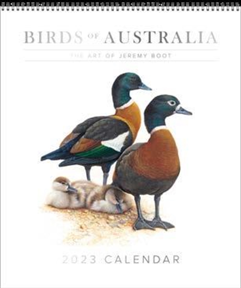 Birds Of Australia Jeremy Boot Calendar 2023/Product Detail/Calendars & Diaries