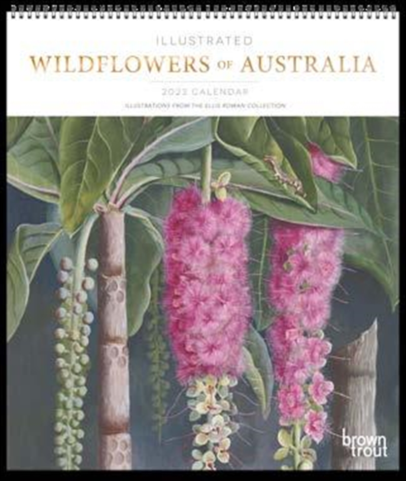 Illustrated Wildflowers Of Australia Calendar 2023/Product Detail/Calendars & Diaries