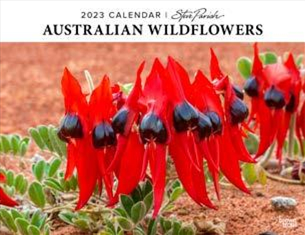 Australian Wildflowers Horizontal Calendar 2023/Product Detail/Calendars & Diaries