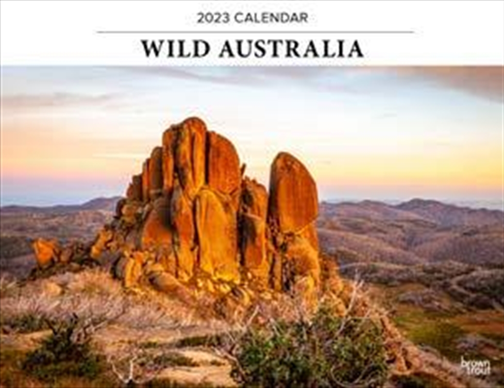 Wild Australia Horizontal Calendar 2023/Product Detail/Calendars & Diaries
