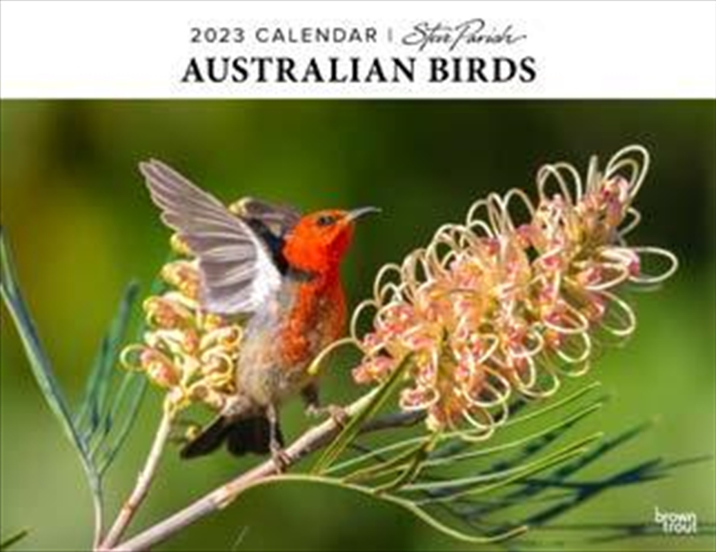 Australian Birds Horizontal Calendar 2023 | Merchandise