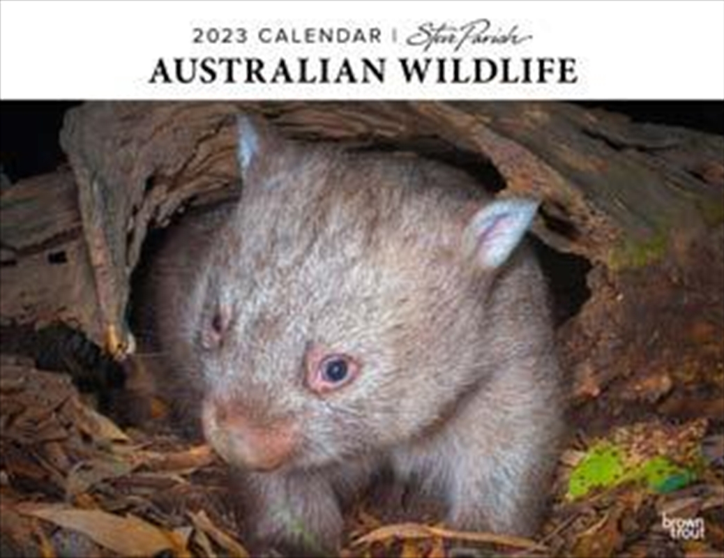 Australian Wildlife Horizontal Calendar 2023 | Merchandise