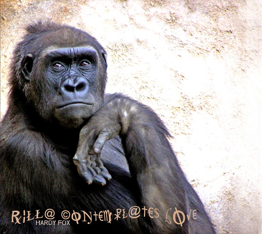 Rilla Contemplates Love/Product Detail/Specialist