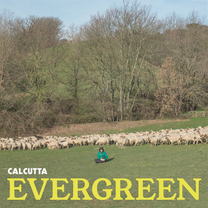 Evergreen/Product Detail/World