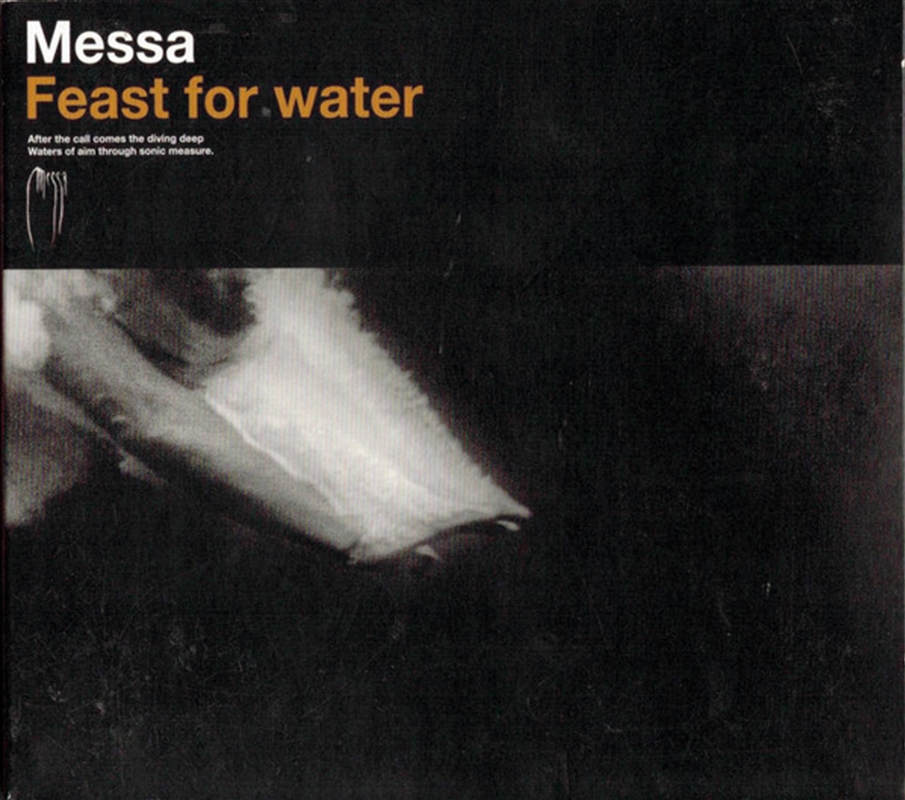 Feast For Water/Product Detail/Rock