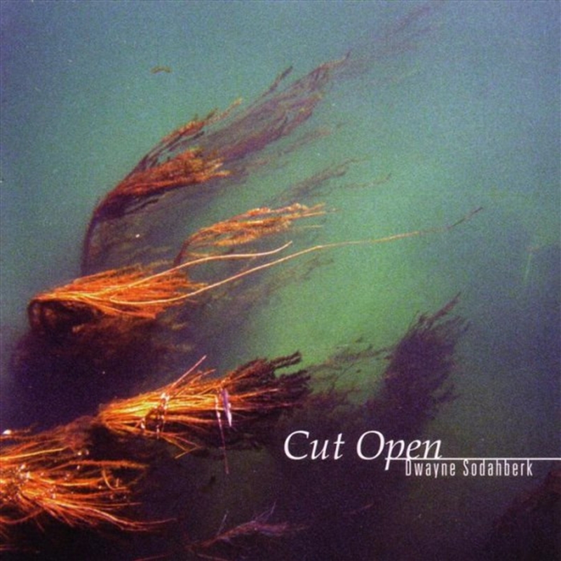 Cut Open/Product Detail/Folk