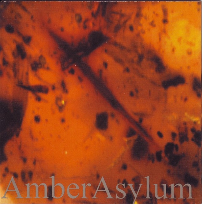 Frozen In Amber/Product Detail/Metal