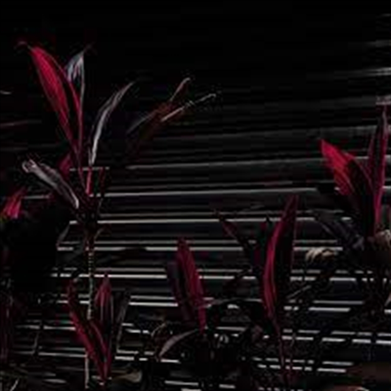 This New Heaven/Product Detail/Rock