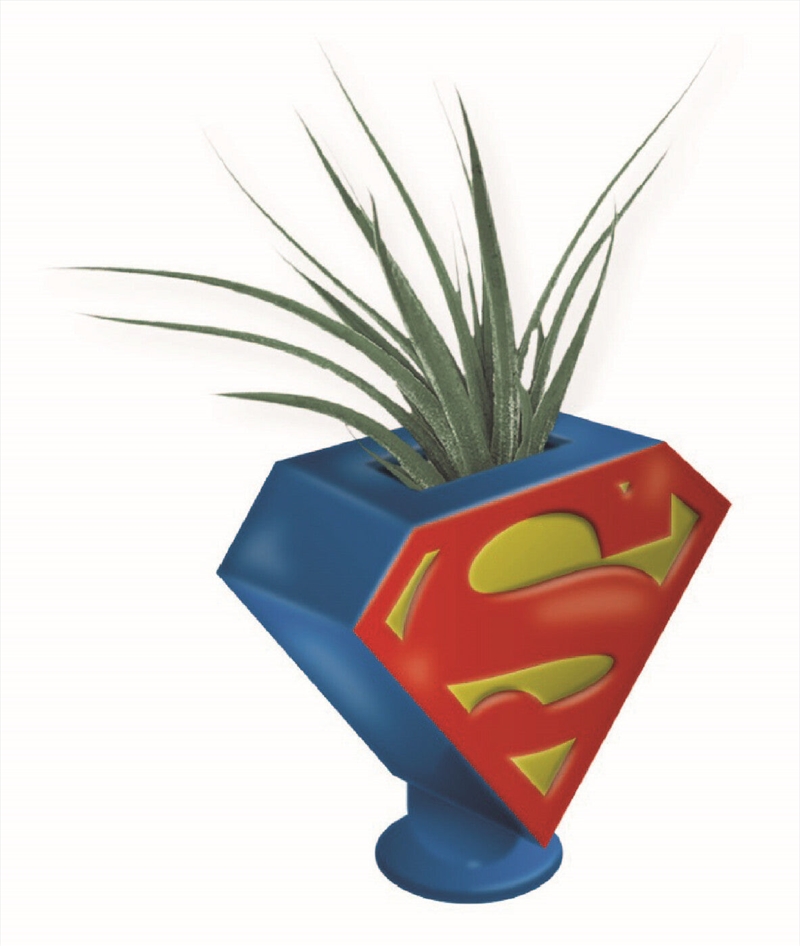 DC Comics - Superman Logo Planter/Product Detail/Decor
