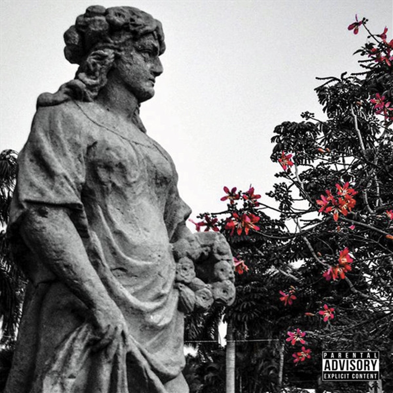 Carved From Stone/Product Detail/Rap