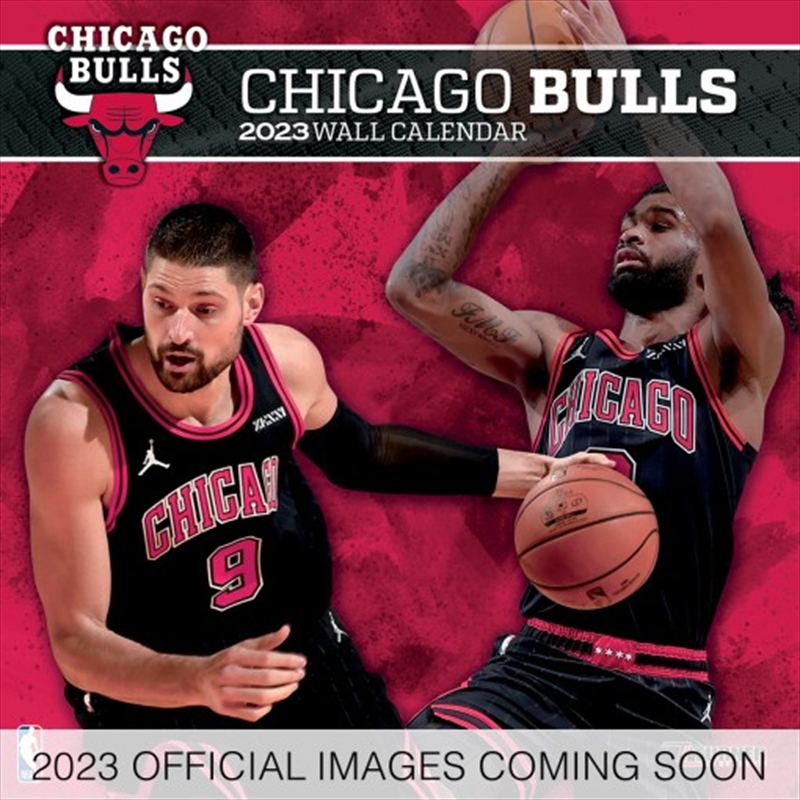 Chicago Bulls Team Square Calendar 2023 | Merchandise